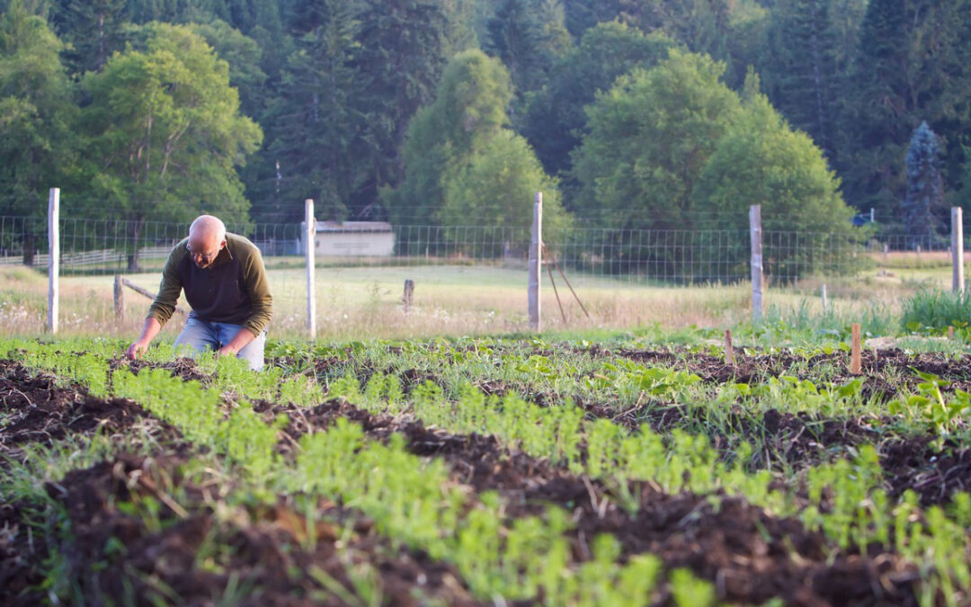 Climate Change and Crop Resilience