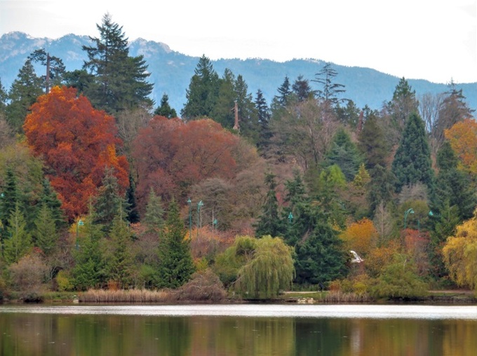 Urban Forests