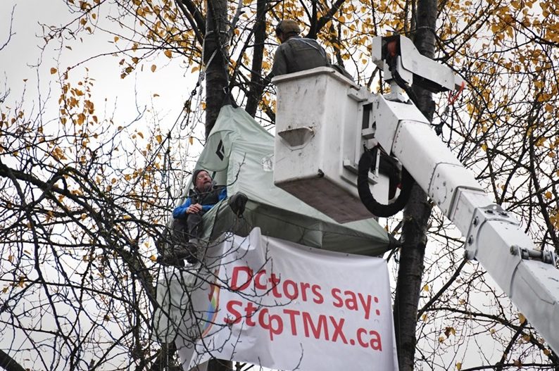 Physician, Educator, Environmental Defender