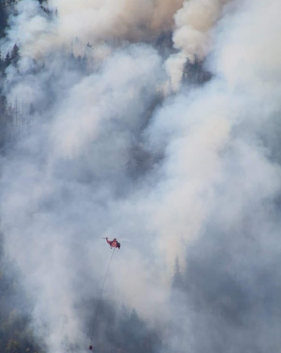 Forest fire in British Columbia, Canada