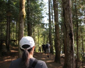 image of family taking walk in nature