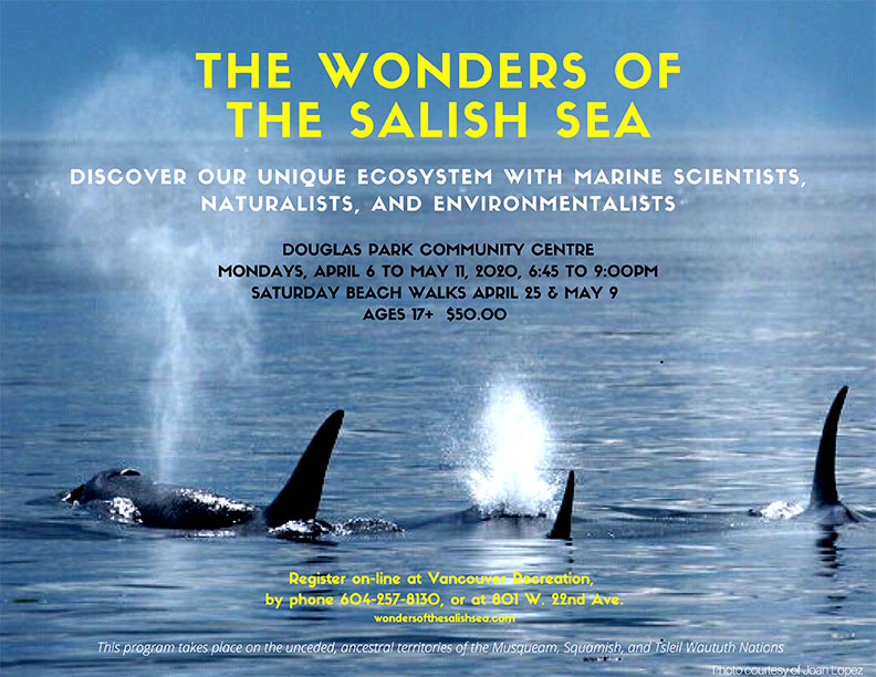 Wonders of the Salish Sea