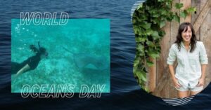 The Nada Story on World Ocean's Day