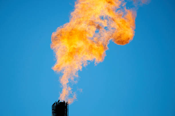 The Challenges of Tackling Methane Emissions In British Columbia