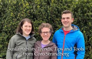 Image of Coro Strandberg and her children, the focus of her Tips, Trends and Tools newsletter