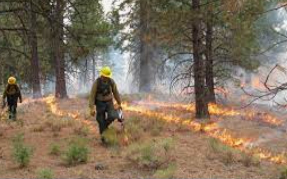 Controlled or prescribed burning.