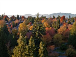 Urban forest in British Columbia