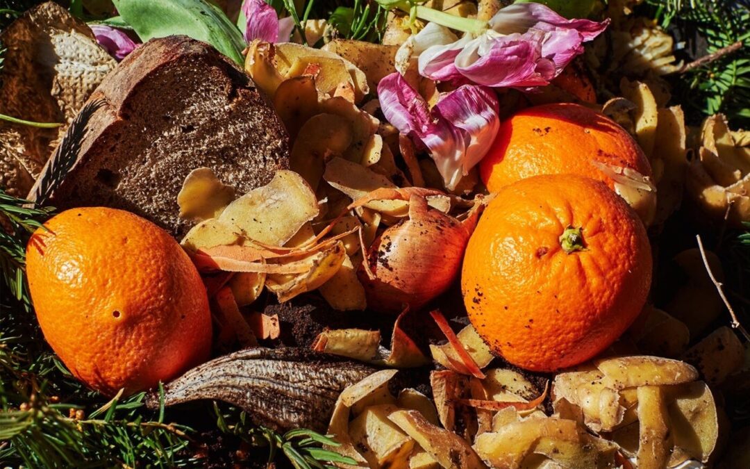 Food Waste: A Local and Global Concern