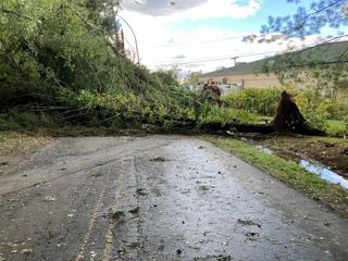 Impassable road in author’s neighbourhood