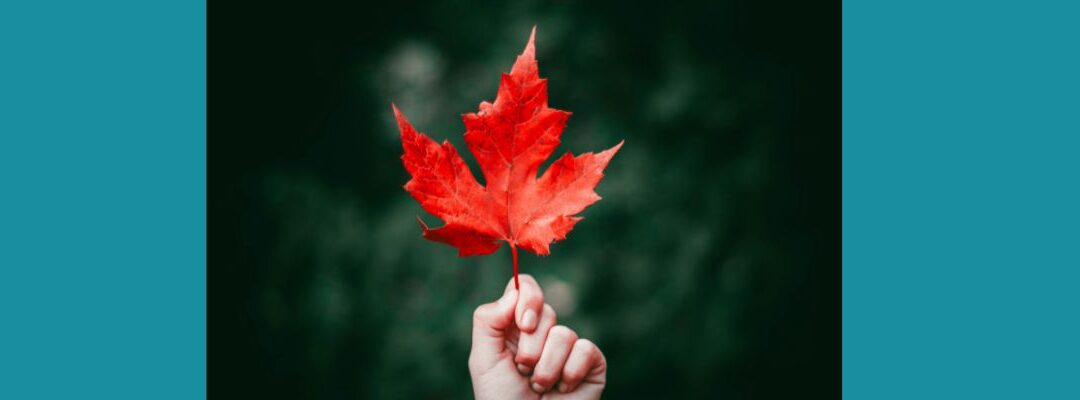 Mobilizing Canada: New Coalitions and New Approaches