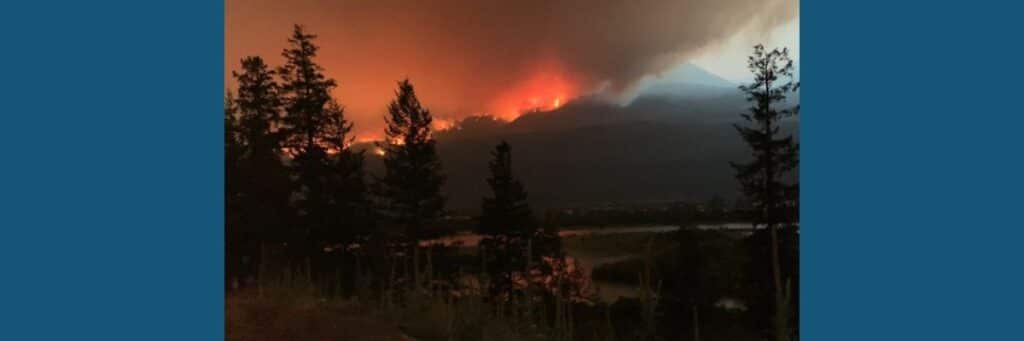 Image from 2024 fire season