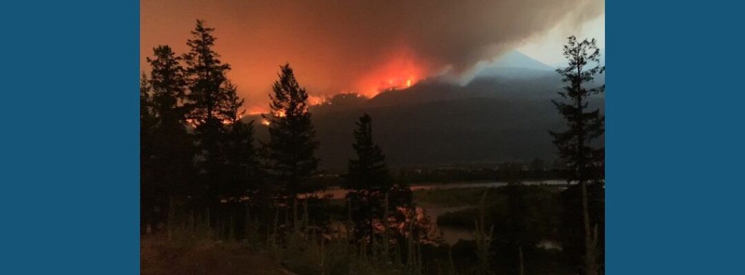 Getting Ready for the Fire Season