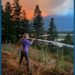 image of 2024 fire season