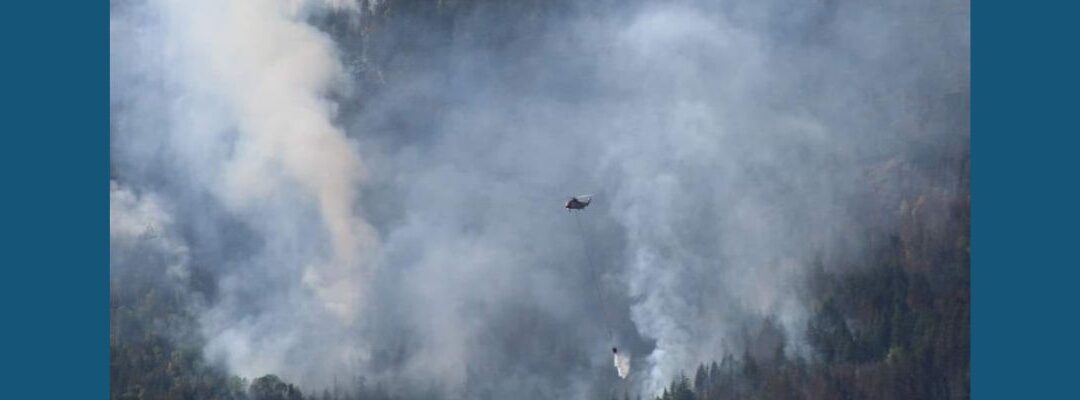 Wildfire – Knowledge Network Docuseries