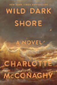 Wild Dark Shore cover art for Eco fiction Watery World book review