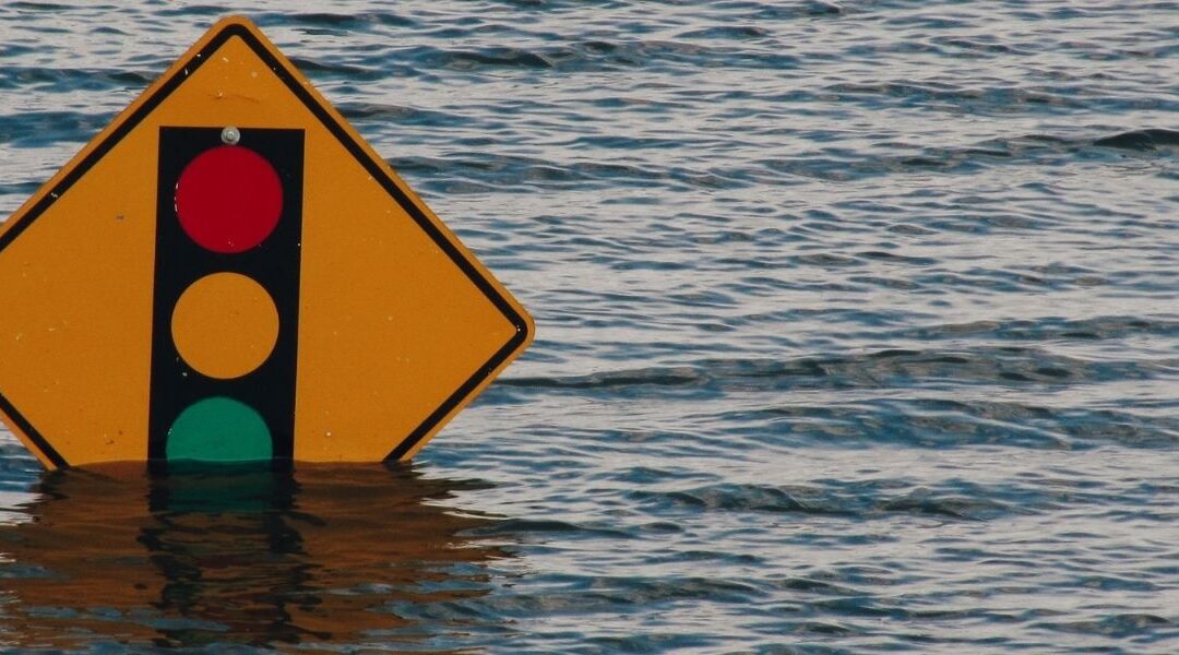 Eco-fiction: A Watery World