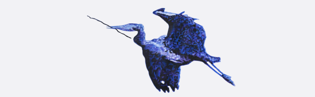 Blue Heron with Branch, coloured pencil 2025 by suschnee is the symbol of GTEC's climate response centre