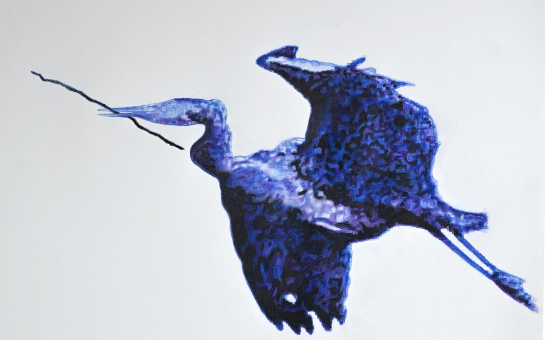 Blue Heron with Branch