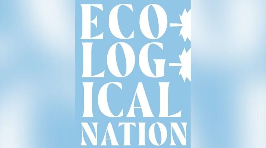 Petro-state or Eco-Nation